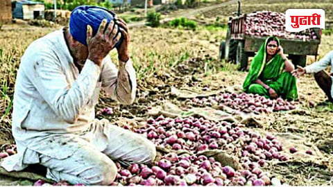 Nashik onion farmers crisis