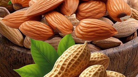 peanuts vs almonds nutrition