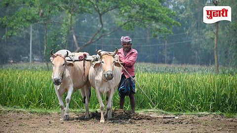PM Kisan 23rd Installment
