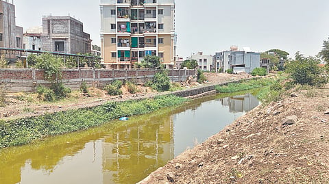 Sangli News : कृष्णा कालव्याच्या क्षेत्रानुसार पाणीवाटप करा