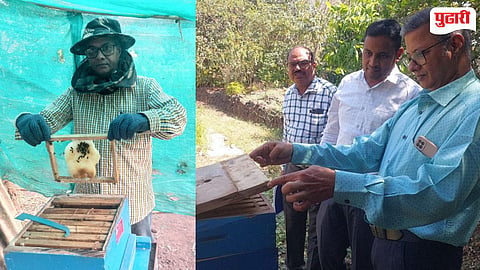 World Bee Day