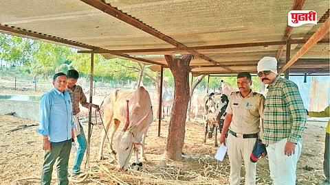 Illegal Slaughterhouse Case