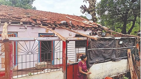 Mahabaleshwar rain: महाबळेश्वर तालुक्यात  वादळी पावसाचा कहर