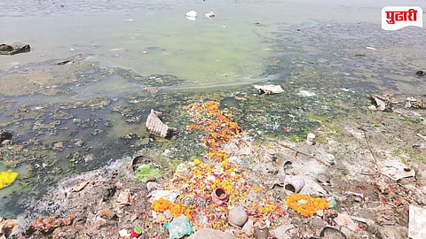 Maharashtra wetlands survey