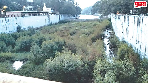 Dahisar River Cleaning