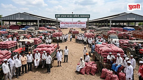 Nashik onion auction halted 