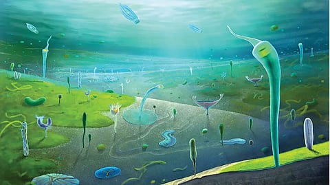 55 million year old organism | 