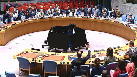 UN Security Council |