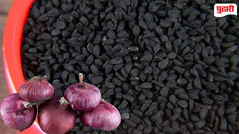 Fake Onion Seeds Scam