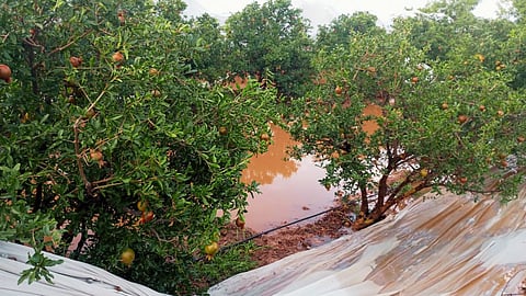 Sangola Rain