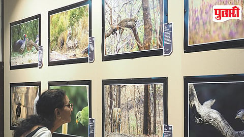 Nature Photography Exhibition