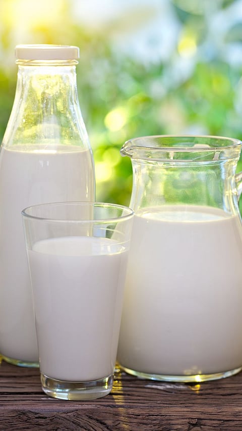 Milk 