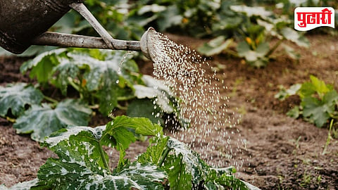Water Release