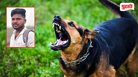 Dog bite rabies death