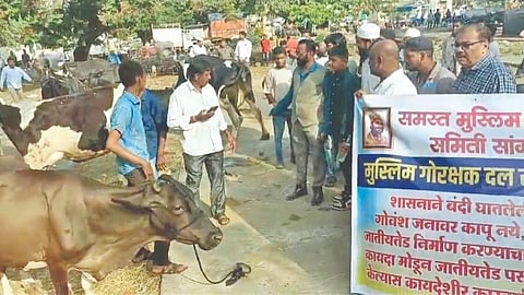 Sangli News