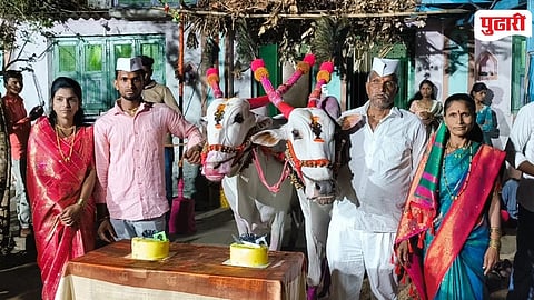 Harnya Popatya Bullock Birthday