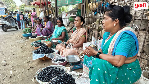 Badlapur Jamun Price
