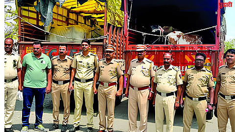 Jalna News