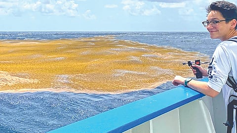 Sargasso Sea |