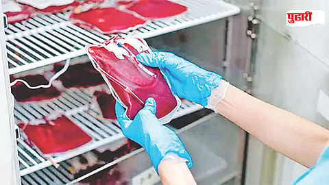 Mumbai blood bank privatization
