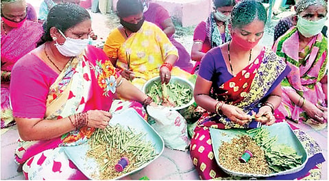 Solapur bidi industry: सोलापुरातील विडी उद्योग संकटात