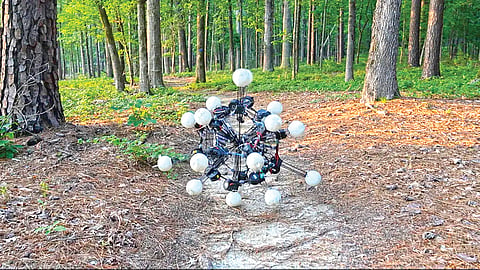20-legged robot | 