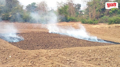 Kharif Seed Shortage