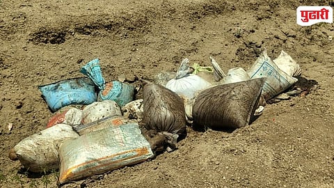 Majalgaon Illegal Cattle Slaughter
