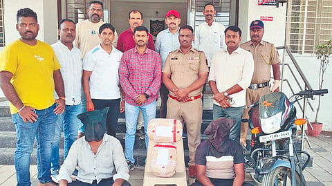 Phaltan ganja seized: फलटणमध्ये चार किलो गांजा जप्त; दोघांना अटक