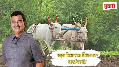 कृषीमंत्री दत्तात्रय भरणे यांची कर्जमाफीची घोषणा 