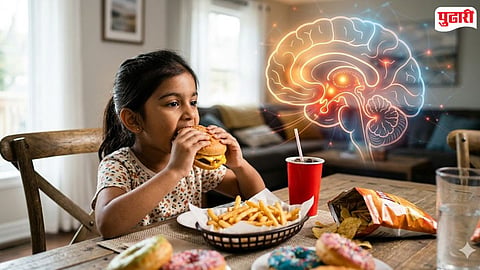 Junk Food Brain Damage Study 