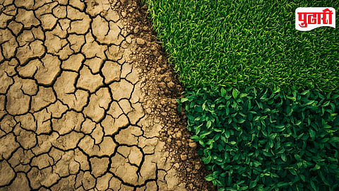 Agriculture Crisis