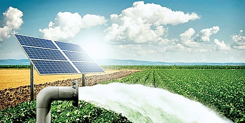 Satara News: सोलर प्रकल्पामुळे उद्योजक अडचणीत