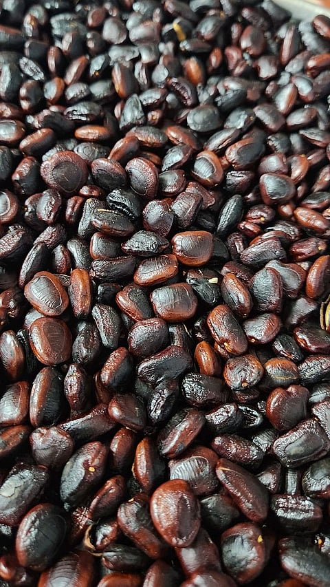 Tamarind Seeds Benefits
