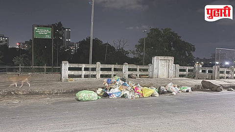 Pimpri Chinchwad Garbage Problem