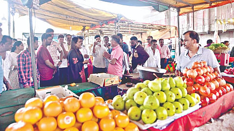 Sindhudurg News
