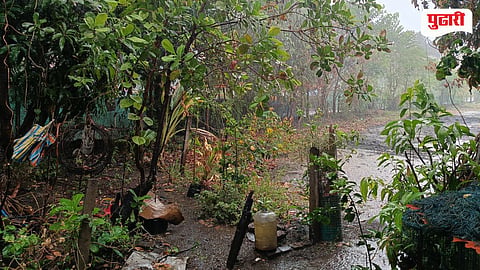 Vasai Rain