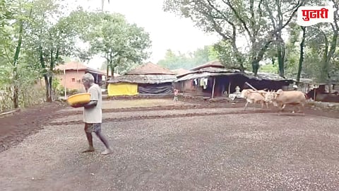 Raigad Agriculture