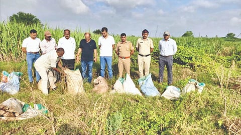Sangli crime News