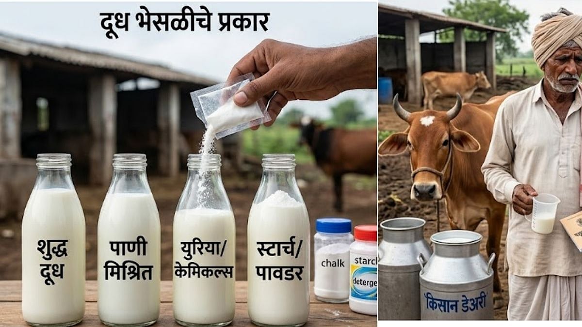 बीड जिल्ह्यात दूध व खव्यात भेसळ करणाऱ्यांना राजकीय आशीर्वाद तरी कुणाचा? – इम्रान जागीरदार बीड जिल्ह्यात दूध व खव्यात भेसळ करणाऱ्यांना राजकीय आशीर्वाद तरी कुणाचा? – इम्रान जागीरदार