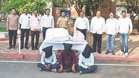 Solapur Ganja Seized: ३६ किलो गांजा पकडला; तिघांना अटक