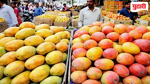 जिंतूर शहरात केमिकलयुक्त आंब्यांची सर्रास विक्री; अन्न व औषध प्रशासन झोपेत