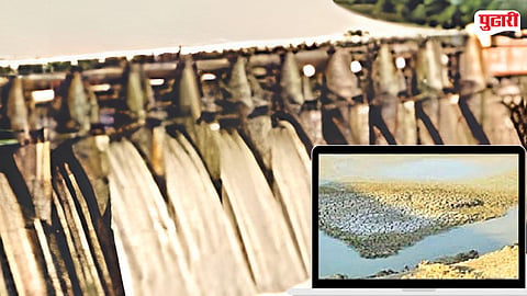 Jalna dams water level