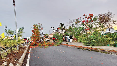 Solapur Rain: माळीनगर परिसरात सोसाट्याच्या वाऱ्याचे थैमान