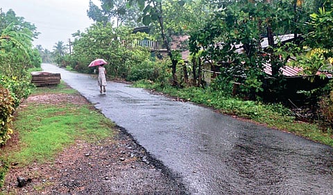 Monsoon Updates