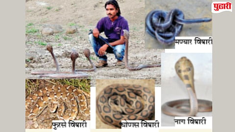 Snake awareness Nanded