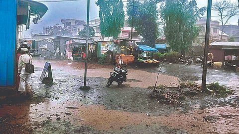 Satara Rain: तारळे येथे वादळी वार्‍यासह पावसाची हजेरी