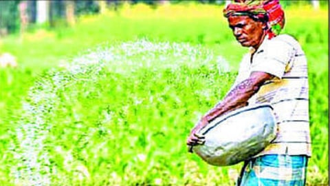Nashik Fertilizer Price Hike