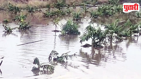 Maharashtra Hailstorm Damage