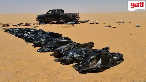 49 people die in Sahara desert 